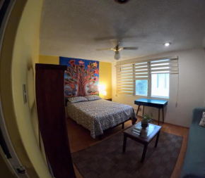 Neighbor of Frida Khalo, vintage stay in Coyoacán